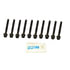 CRP 81052400 HEAD BOLT SET