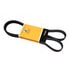 PK060634 by CRP - SERPENTINE BELT