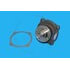8N5555 by BLUMAQ - WATER PUMP