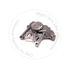 Blumaq 6I0912 Engine Oil Pump Engine Oil Pump - fits Caterpillar Vehicles