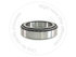 BE150069 by BLUMAQ - ROLLER BEARING