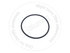 C01090A0N05 by BLUMAQ - Seal O-ring