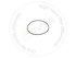 CS238-5257 by BLUMAQ - Seal O-ring