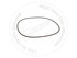 CS71448815 by BLUMAQ - SEAL O-RING