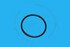 CS79072842 by BLUMAQ - SEAL O-RING