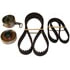 Cloyes BK186 Engine Timing Belt Component Kit Engine Timing Belt Component Kit