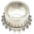 Cloyes S729 Engine Timing Crankshaft Sprocket Engine Timing Crankshaft Sprocket