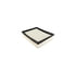 Hasting Filter AF1313 PANEL AIR ELEMEN