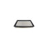 Hasting Filter AF439 PANEL AIR ELEMEN
