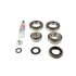 2017520 by DANA - Differential Rebuild Kit - Sandard, for Rear, DANA 70/267 2U Axle