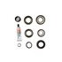 2017081 by DANA - STANDARD AXLE DIFFERENTIAL BEARING AND SEAL KIT