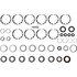 216220-1 by DANA - Axle Differential Bearing and Seal Kit - Overhaul, Before June 2008