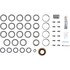 10038961 by DANA - MASTER AXLE DIFFERENTIAL BEARING AND SEAL KIT - GM 8.875 AXLE - 12 BOLT TRUCK