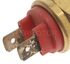 TS-298 by STANDARD IGNITION - Intermotor Coolant Fan Switch