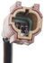 ALS243 by STANDARD IGNITION - Intermotor ABS Speed Sensor