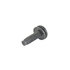 6035898 by MOPAR - Screw - For 2001-2006 Jeep Wrangler