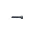 20483919 by MACK - Hex Socket                     Screw