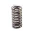 FP-5147347 by FP DIESEL - Exhaust Valve Spring