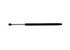 4753 by STRONG ARM LIFT SUPPORTS - Liftgate Lift Support