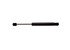 6253 by STRONG ARM LIFT SUPPORTS - Back Glass Lift Support
