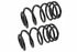 4427529 by LESJOFORS - Coil Spring Set - Rear, for 1968-1971 Ford LTD/1969-1970 Mercury Marquis