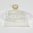 Delphi FS0079 Fuel Pump Strainer Strainer
