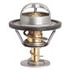 13889 by STANT - Stant OE Type Thermostat