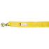 23109430 by DOLECO USA - 4"x30' Winch Strap w/ Grab Hook