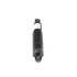 04670693AG by MOPAR - ABSORBER
