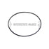 Interstate-McBee A-5139584 Multi-Purpose Seal Ring Multi-Purpose Seal Ring