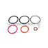 AP0001 by INTERSTATE MCBEE - Fuel Injector O-Ring Kit