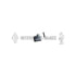 Interstate-McBee M-20511 Fuel Transfer Pump Fuel Transfer Pump Blade - For Stanadyne Fuel Pumps