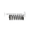 Interstate-McBee M-2418385 Engine Valve Spring Engine Valve Spring - Outer