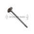 M-3942588 by INTERSTATE MCBEE - Engine Intake Valve
