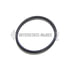 Interstate-McBee M-3954829 Engine Coolant Thermostat Seal Engine Coolant Thermostat Seal