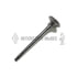 M-5I7739 by INTERSTATE MCBEE - Engine Exhaust Valve