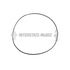 M-9H846 by INTERSTATE MCBEE - Multi-Purpose Seal Ring