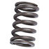 12565199 by ACDELCO - Engine Valve Spring - 0.72" I.D. and 1.00" O.D. Coil Spring, 605 PSI