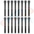 Apex Gaskets AHB425 Engine Cylinder Head Bolt Set Head Bolt Set