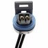 PT2301 by ACDELCO - Air Charge Temperature Sensor Connector - 2 Female Pin Terminals, Oval