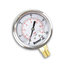 hpgs100 by BUYERS PRODUCTS - Multi-Purpose Pressure Gauge - Silicone Filled, Stem Mount, 0-100 PSI