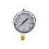 hpgs160 by BUYERS PRODUCTS - Multi-Purpose Pressure Gauge - Silicone Filled, Stem Mount, 0-160 PSI