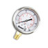 hpgs100 by BUYERS PRODUCTS - Multi-Purpose Pressure Gauge - Silicone Filled, Stem Mount, 0-100 PSI