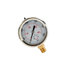 hpgs3 by BUYERS PRODUCTS - Multi-Purpose Pressure Gauge - Silicone Filled, Stem Mount, 0-3, 000 PSI