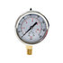 hpgs160 by BUYERS PRODUCTS - Multi-Purpose Pressure Gauge - Silicone Filled, Stem Mount, 0-160 PSI
