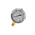 hpgs3 by BUYERS PRODUCTS - Multi-Purpose Pressure Gauge - Silicone Filled, Stem Mount, 0-3, 000 PSI