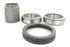 RDSK1 by SKF - Tapered Roller Bearing Set (Bearing And Race)