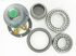 SKF TNSK1 Wheel Bearing Kit Wheel Bearing Kit