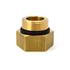 Fumoto ADP205 ADAPTOR,CAT 2005 ACCERT