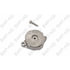 BWP-NSI CT49377 Accessory Drive Belt Tensioner Assembly Continental Elite